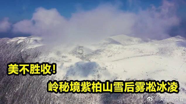城邦争霸正式中文版