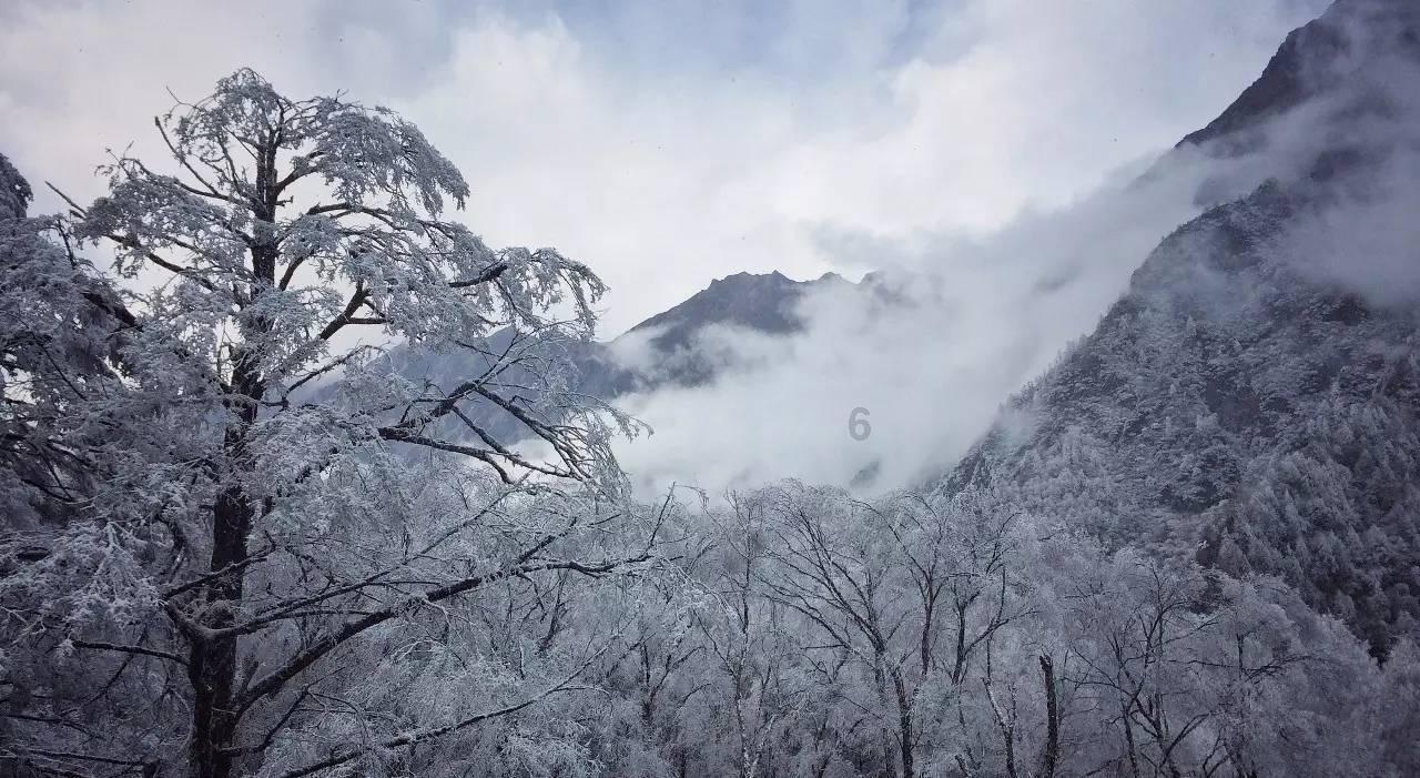 波黑德里纳河污染严重 居民健康和旅游业受影响